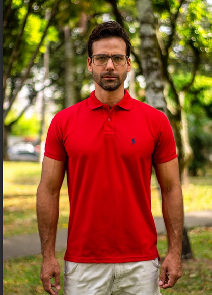 POLOS ALTO GRAMAJE CABALLERO